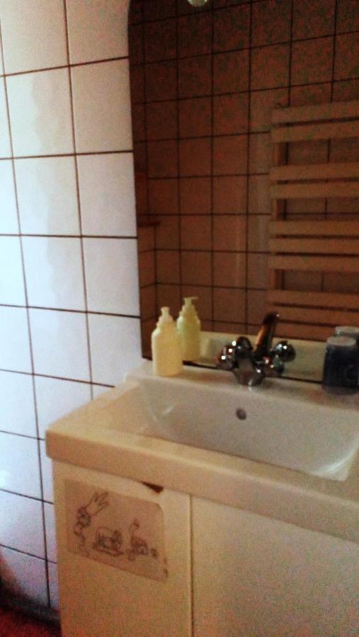 Au Chat Ronfleur Bagnères-de-Bigorre Zewnętrze zdjęcie